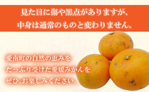 先行予約 訳あり 愛媛みかん 3.5kg 7000円 愛媛 みかん 温州みかん こたつ みかん mikan 蜜柑 ミカン 家庭用 産地直送 国産 農家直送 糖度 期間限定 数量限定 特産品 ゼリー ジュース アイス 人気 限定 甘い フルーツ 果物 柑橘 先行 事前 予約 受付 ビタミン 美味しい おいしい サイズ ミックス 愛南町 愛媛県 吉田農園