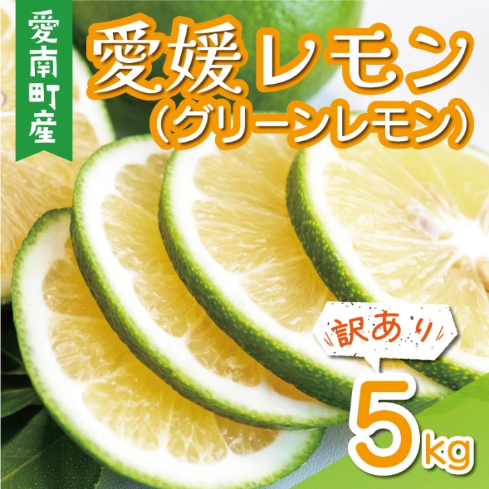 訳あり 愛媛 レモン （ グリーンレモン ） 5kg 7000円 柑橘 サイズ 不揃い 家庭用 檸檬 国産 フルーツ 果物 果実 産地直送 農家直送 数量限定 期間限定 特産品 瀬戸内 ワックス 防腐剤 不使用 果汁 人気 新鮮 レモネード 塩レモン レモン酢 レモンソース はちみつレモン レモンケーキ レモンスカッシュ レモンサワー レモン酎ハイ ビタミン 規格外 愛南町 愛媛県 果樹園みどり