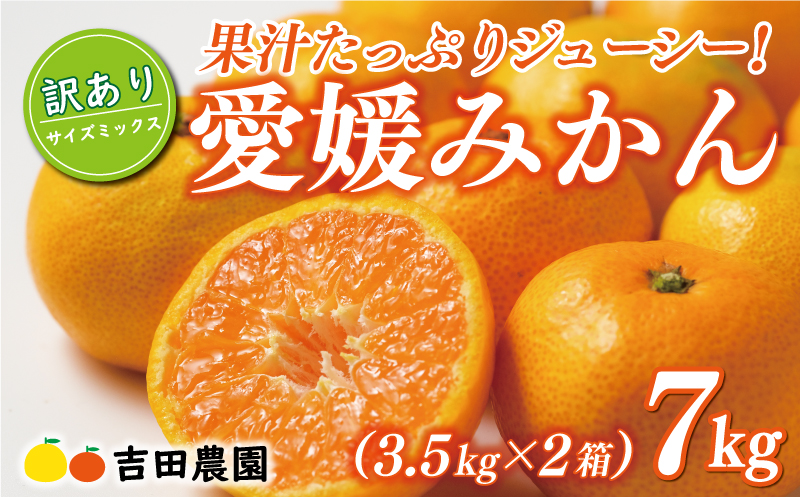 先行予約 訳あり 愛媛みかん 合計 7kg （ 3.5kg × 2箱 ） 14000円 愛媛 みかん 温州みかん こたつ みかん mikan 蜜柑 ミカン 家庭用 産地直送 国産 農家直送 糖度 期間限定 数量限定 特産品 ゼリー ジュース アイス 人気 限定 甘い フルーツ 果物 柑橘 先行 事前 予約 受付 ビタミン 美味しい おいしい サイズ ミックス 愛南町 愛媛県 吉田農園