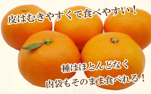 先行予約 訳あり 愛媛みかん 合計 7kg （ 3.5kg × 2箱 ） 14000円 愛媛 みかん 温州みかん こたつ みかん mikan 蜜柑 ミカン 家庭用 産地直送 国産 農家直送 糖度 期間限定 数量限定 特産品 ゼリー ジュース アイス 人気 限定 甘い フルーツ 果物 柑橘 先行 事前 予約 受付 ビタミン 美味しい おいしい サイズ ミックス 愛南町 愛媛県 吉田農園