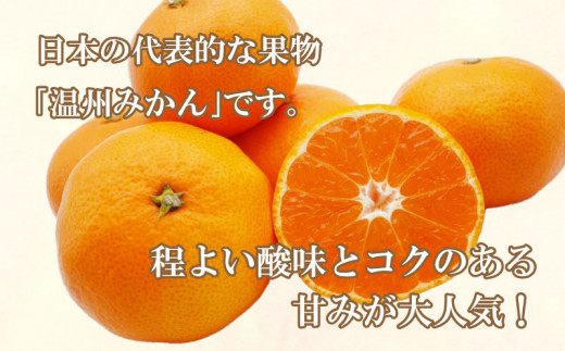 先行予約 愛媛みかん 3kg 9000円 愛媛 みかん 温州みかん こたつ みかん mikan 蜜柑 ミカン 家庭用 贈答用 ギフト プレゼント お歳暮 産地直送 国産 農家直送 糖度 期間限定 数量限定 特産品 ゼリー ジュース アイス 人気 限定 甘い フルーツ 果物 柑橘 先行 事前 予約 受付 ビタミン 美味しい おいしい 吉田農園 愛南町 愛媛県