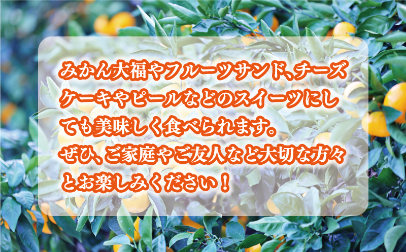 先行予約 愛媛みかん 合計 7kg （ 3.5kg × 2箱 ） 16000円 愛媛 みかん 温州みかん こたつ みかん mikan 蜜柑 ミカン 家庭用 贈答用 ギフト プレゼント お歳暮 産地直送 国産 農家直送 糖度 期間限定 数量限定 特産品 ゼリー ジュース アイス 人気 限定 甘い フルーツ 果物 柑橘 先行 事前 予約 受付 ビタミン 美味しい おいしい 愛南町 愛媛県 吉田農園