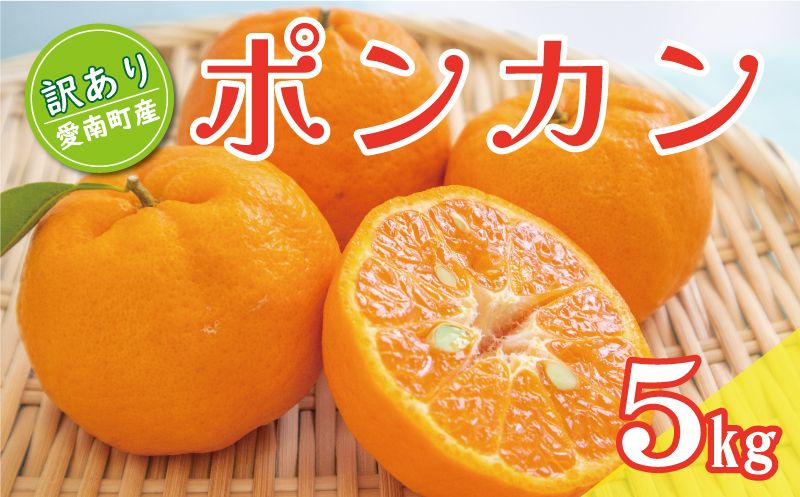 先行予約 訳あり ポンカン 5kg 7000円 ぽんかん みかん mikan 蜜柑 ミカン 家庭用 贈答用 産地直送 国産 農家直送 糖度 期間限定 数量限定 特産品 ゼリー ジュース アイス 人気 限定 甘い 果実 果肉 フルーツ 果物 柑橘 先行 事前 予約 受付 ビタミン 健康 美味しい おいしい ジューシー サイズ ミックス くらもとファーム 愛南町 愛媛県