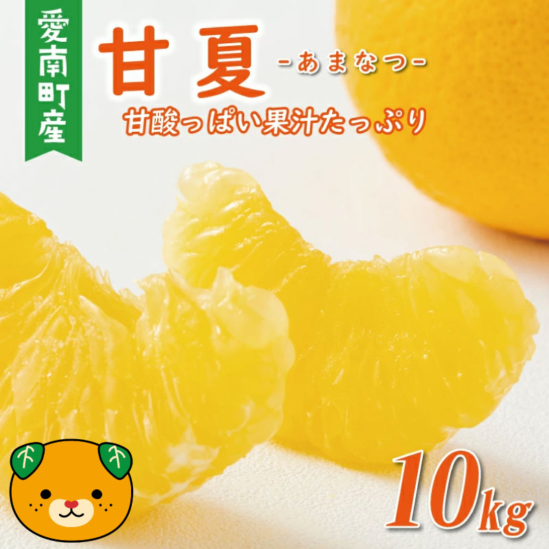 先行予約 訳あり 甘夏 10kg 7000円 樹齢25年 以上 みかん mikan 蜜柑 わけあり あまなつ 夏みかん グレープフルーツ だいだい 家庭用 事前 予約 受付 産地直送 国産 農家直送 糖度 期間限定 数量限定 特産品 ゼリー マーマレード ピール ジュース デザート 人気 限定 おいしい 果実 果肉 フルーツ 果物 柑橘 美味しい サイズ ミックス 減農薬 くらもとファーム 愛南町 愛媛県