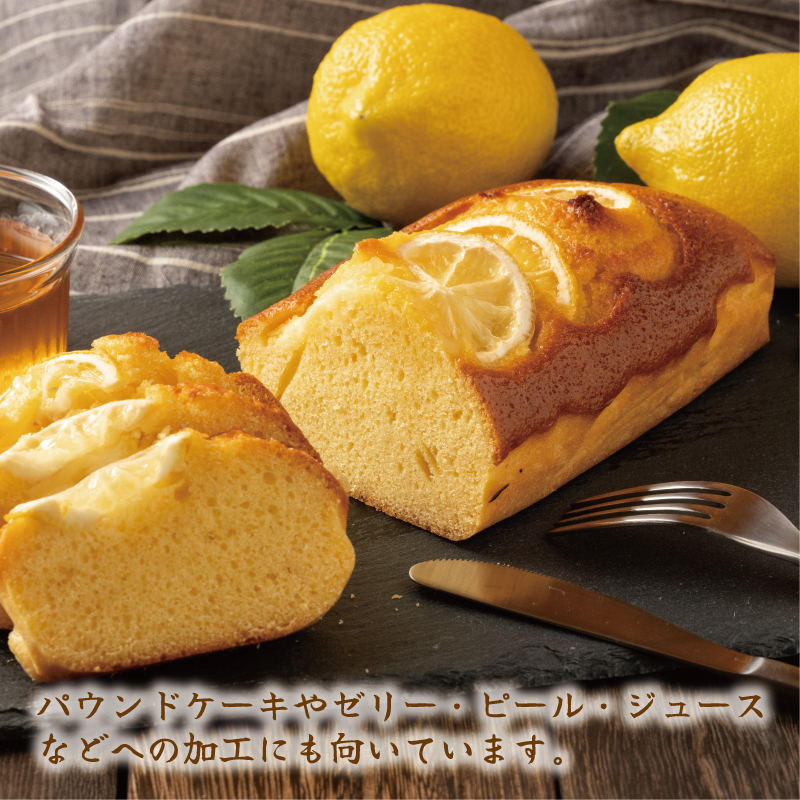 訳あり レモン 5kg 7000円 柑橘 サイズ 不揃い 家庭用 檸檬 国産 フルーツ 果物 果実 産地直送 農家直送 数量限定 期間限定 特産品 瀬戸内 ワックス 防腐剤 不使用 有機栽培 果汁 人気 新鮮 レモネード 塩レモン レモン酢 レモンソース はちみつレモン レモンケーキ レモンスカッシュ レモンサワー レモン酎ハイ ビタミン くらもとファーム 愛南町 愛媛県