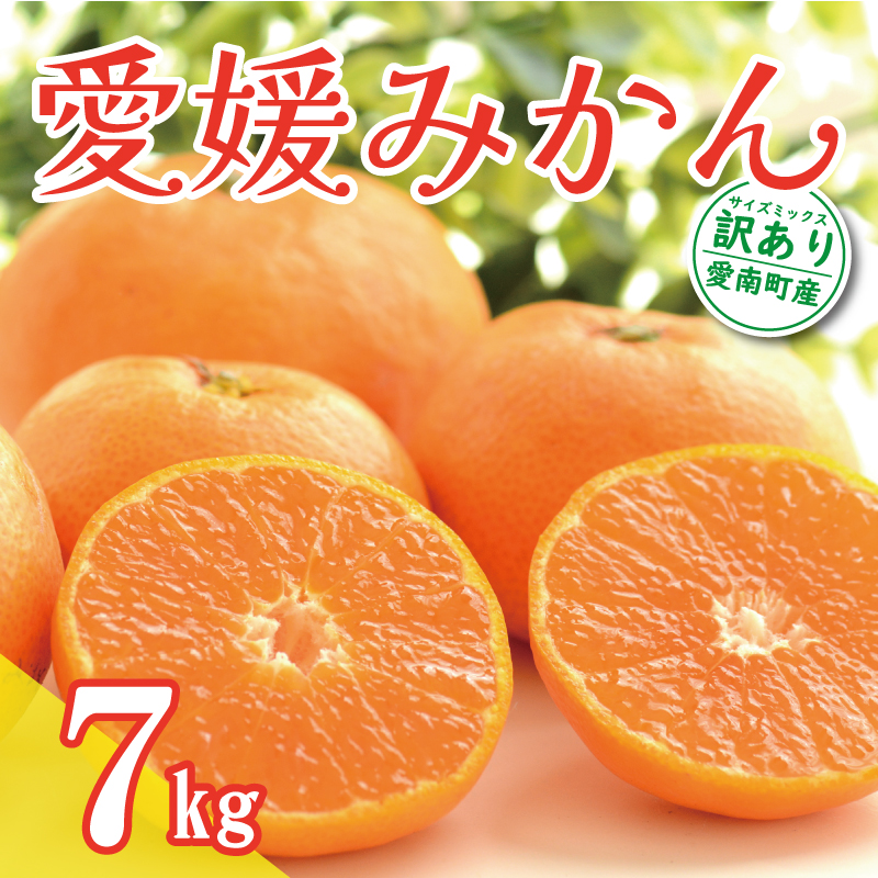 先行予約 訳あり 愛媛みかん 7kg 10000円 温州みかん こたつ みかん 温州 みかん mikan 蜜柑 愛媛 ミカン 完熟 家庭用 産地直送 国産 農家直送 糖度 期間限定 数量限定 特産品 ゼリー ジュース アイス 人気 限定 甘い 果実 果肉 フルーツ 果物 柑橘 先行 事前 予約 受付 ビタミン 健康 美味しい おいしい ジューシー サイズ ミックス くらもとファーム 愛南町 愛媛県