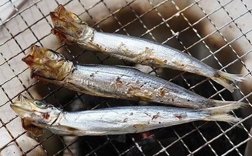 訳あり 魚の 丸干し ＆ 開き おまかせ セット 2.5kg 10000円 魚 海鮮 干物 無添加 ひもの ひらき 詰め合わせ 冷凍 丸干し 鯵 アジ 鯖 さば サバ 鰹 かつお カツオ 鯛 たい タイ 鰯 いわし イワシ 切り身 おつまみ おかず 惣菜 人気 珍味 グルメ 規格外  国産 新鮮 魚介 天然 乾き物 乾物 酒のあて 旬 季節 お中元 お歳暮 母の日 父の日 武久海産 愛南町 愛媛県