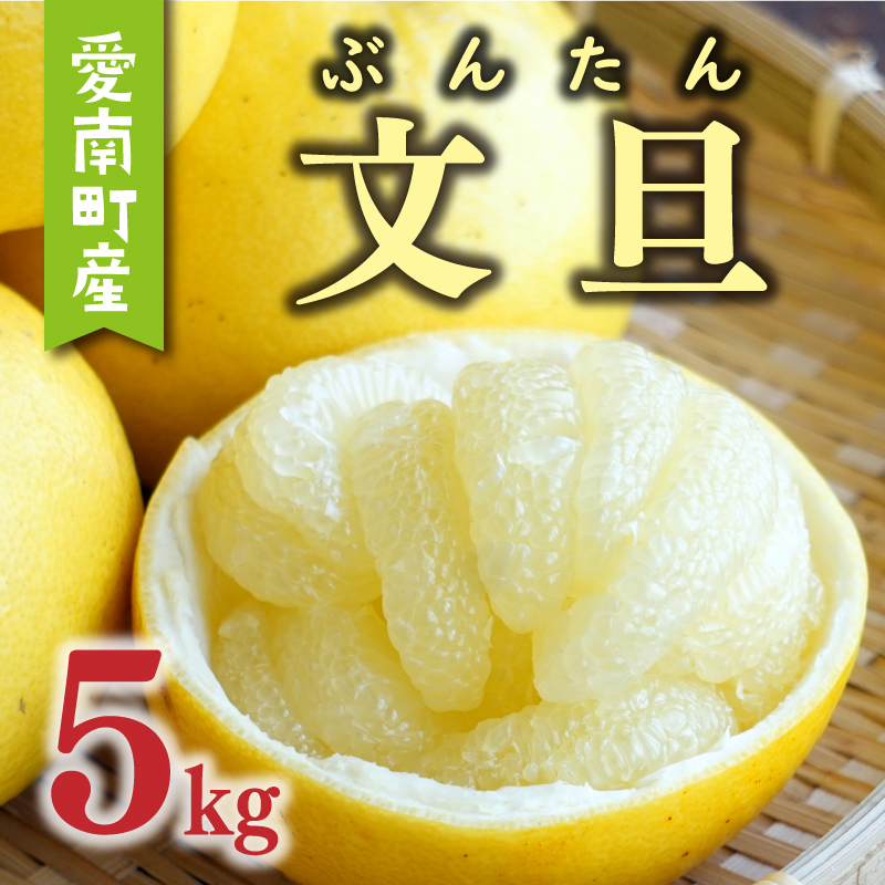 先行予約 文旦 5kg （ Lサイズ 以上 ） 10000円 ぶんたん みかん mikan 蜜柑 ミカン 産地直送 国産 農家直送 糖度 期間限定 数量限定 特産品 ギフト プレゼント ゼリー ジュース アイス 人気 限定 甘い 果実 果肉 フルーツ 果物 柑橘 先行 事前 予約 受付 ビタミン 健康 美味しい おいしい ジューシー サイズ ミックス あいなんマザーズ 愛南町 愛媛県