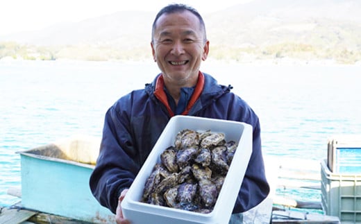 先行予約 愛南かき （ むき身 500g ・ 殻付 1kg ） 10000円 牡蠣 身がき むき身 殻付き かき カキ オイスター 鍋 カキフライ ミルク ソテー クリームシチュー グラタン 牡蠣鍋 蒸し 酒蒸し オイル漬 塩辛 冷蔵 国産 産地直送 期間限定 数量限定 特産品 海鮮 魚介 養殖 人気 限定 愛南町 愛媛県