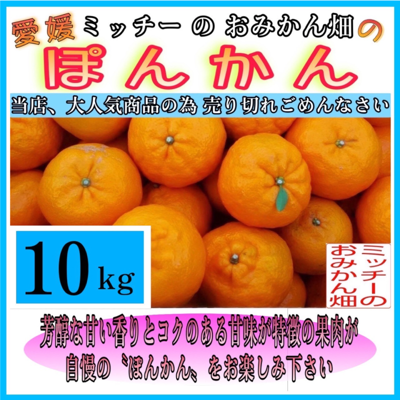 訳あり 家庭用 ぽんかん 10kg サイズ混合 12000円 みかん ポンカン ミカン mikan 国産 期間限定 数量限定 特産品 ジュース 人気 限定 愛南  新鮮 果実 さわやか 風味 甘い フルーツ 果物 柑橘 蜜柑 糖度 産地直送 農家直送 サイズミックス 果樹園 ミッチーのおみかん畑 愛南町 愛媛県 