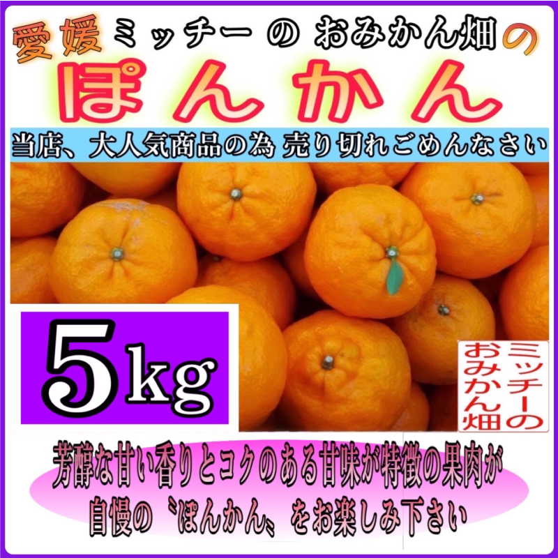 訳あり 家庭用 ぽんかん 5kg サイズ混合 7000円 みかん ポンカン ミカン mikan 国産 期間限定 数量限定 特産品 ジュース 人気 限定 愛南  新鮮 果実 さわやか 風味 甘い フルーツ 果物 柑橘 蜜柑 糖度 産地直送 農家直送 サイズミックス 果樹園 ミッチーのおみかん畑 愛南町 愛媛県 