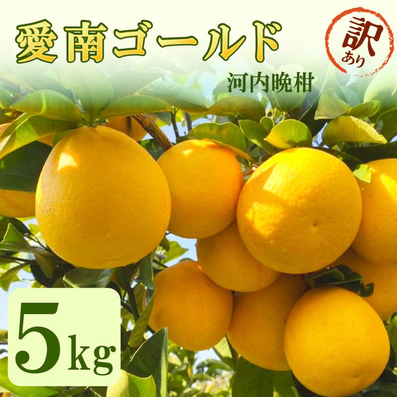 家庭用 愛南ゴールド（河内晩柑）約5kg みかん 蜜柑 河内晩柑 グレープフルーツ 柑橘 果物 フルーツ 前田ファーム 愛媛 愛南 【発送期間 3月下旬～5月上旬 】(なくなり次第終了)
