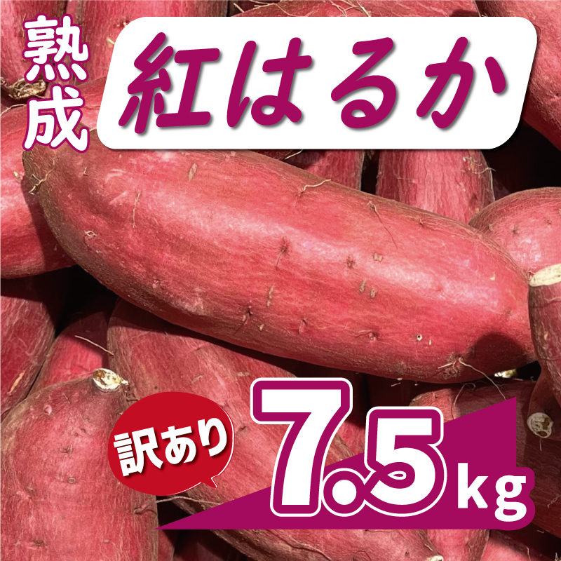 訳あり 熟成 紅はるか 7.5kg サイズ混合 10000円 サツマイモ 焼き芋 干し芋 丸干し 冷凍焼き芋 冷やし焼き芋 やきいも 蜜芋 ほしいも スイートポテト フライドポテト いも天 サイズミックス  甘い ねっとり しっとり ほくほく 生芋 新芋 芋 いも 甘藷 べにはるか スイーツ おかず さつまいも 国産 人気 糖度 産地直送 農家直送 数量限定 ミッチーのおみかん畑 愛南町 愛媛県