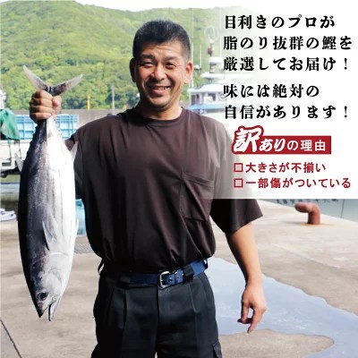 先行予約 訳あり かつおのたたき 2.1kg 10000円 サイズ 不揃い 規格外 傷 小分け 真空 パック 新鮮 鮮魚 天然 鰹 四国一 水揚げ タタキ 冷凍 大容量 ふるさと納税魚 ふるさと納税人気 ふるさと納税カツオたたき ふるさと納税10000円 ふるさと納税冷凍 刺し身 骨なし たたき カツオ わけあり 訳あり傷 発送3月、4月ごろから順次発送予定 ハマスイ 愛南町 愛媛県