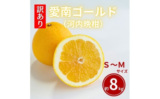 【ふるさと納税】先行予約 訳あり  愛南ゴールド S～Mサイズ 約8kg 河内晩柑 柑橘 フルーツ 果物 蜜柑 みかん くだもの 家庭用 傷 不揃い  サイズミックス かわち ばんかん 和製 グレープフルーツ デザート甘い ジューシー 特産品 国産 農園 直送 愛媛県 愛南町 和家農園