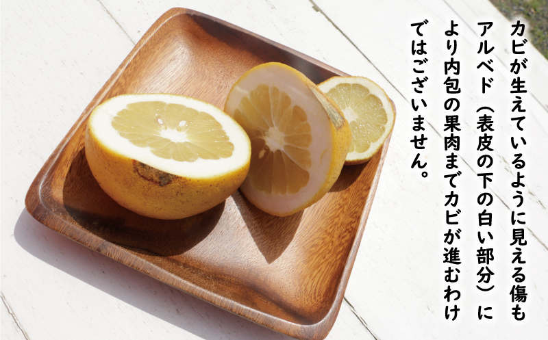 訳あり 文旦 13.5kg 13000円 ぶんたん みかん mikan 蜜柑 ミカン わけあり 家庭用 産地直送 国産 農家直送 糖度 期間限定 数量限定 特産品 ゼリー ジュース アイス 人気 限定 甘い 果実 果肉 フルーツ 果物 柑橘 ビタミン 健康 美味しい おいしい ジューシー 小玉 含む サイズ ミックス 規格外 傷み補償 500g ミッチーのおみかん畑 愛南町 愛媛県