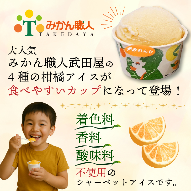 柑橘 カップ アイス 14個 (4種) 【 夢オレンジ 河内晩柑 愛媛みかん しらぬい 】 アイス ジェラート シャーベット ソルベ アイスクリーム ランキング 人気 贈答用 プレゼント みかん 柑橘 かんきつ まどんな 紅マドンナ 夢オレンジ 愛果28号 愛南ゴールド 不知火 デコポン 温州みかん 冷凍 みかん職人武田屋 愛媛県 愛南町