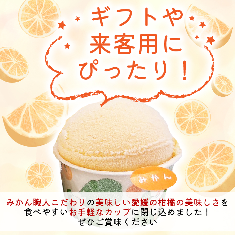 柑橘 カップ アイス 14個 (4種) 【 夢オレンジ 河内晩柑 愛媛みかん しらぬい 】 アイス ジェラート シャーベット ソルベ アイスクリーム ランキング 人気 贈答用 プレゼント みかん 柑橘 かんきつ まどんな 紅マドンナ 夢オレンジ 愛果28号 愛南ゴールド 不知火 デコポン 温州みかん 冷凍 みかん職人武田屋 愛媛県 愛南町