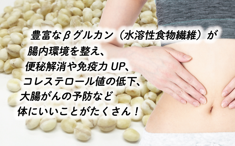 ã¯ã ã麊 900g 5åã»ãã 10000å åœç£ 倧麊 麊 麊ãã¯ã ãããã¯ã æ°Žæº¶æ§ é£ç©ç¹ç¶ è
žå
ç°å¢ ãã€ãšãã å¥åº· ãã«ã€ã¹å³å æåçº æåªç