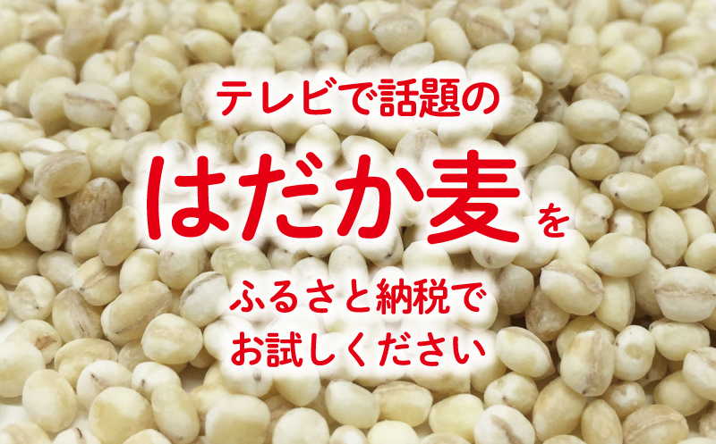 ã¯ã ã麊 900g 5åã»ãã 10000å åœç£ 倧麊 麊 麊ãã¯ã ãããã¯ã æ°Žæº¶æ§ é£ç©ç¹ç¶ è
žå
ç°å¢ ãã€ãšãã å¥åº· ãã«ã€ã¹å³å æåçº æåªç