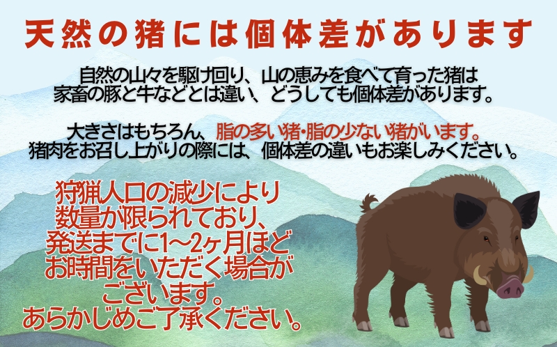 çª ã¹ãã¢ãªã è 600g ïŒ 200g à 3ããã¯ ïŒ 9000å ïŒ5å/æéå®ïŒã€ãã·ã· å·å ç空 ãã㯠åœç£ å€©ç¶ çªè 粟è ãžããšè ã«ã«ã·ãŠã äœã«ããªãŒ äœèèª é«ããã±ã ãã«ã·ãŒ ã³ã©ãŒã²ã³ çŒè çŒãè ã€ãã㯠ããŒããã¥ãŒ BBQ ã«ã¬ãŒ ç
®èŸŒã¿ ã©ãŒã¡ã³ ããã åæç
® å³åç
® ãŒããé ç¡äž¹é ãé äººæ° å±±é¯š æåªç æåçº æåãžããš