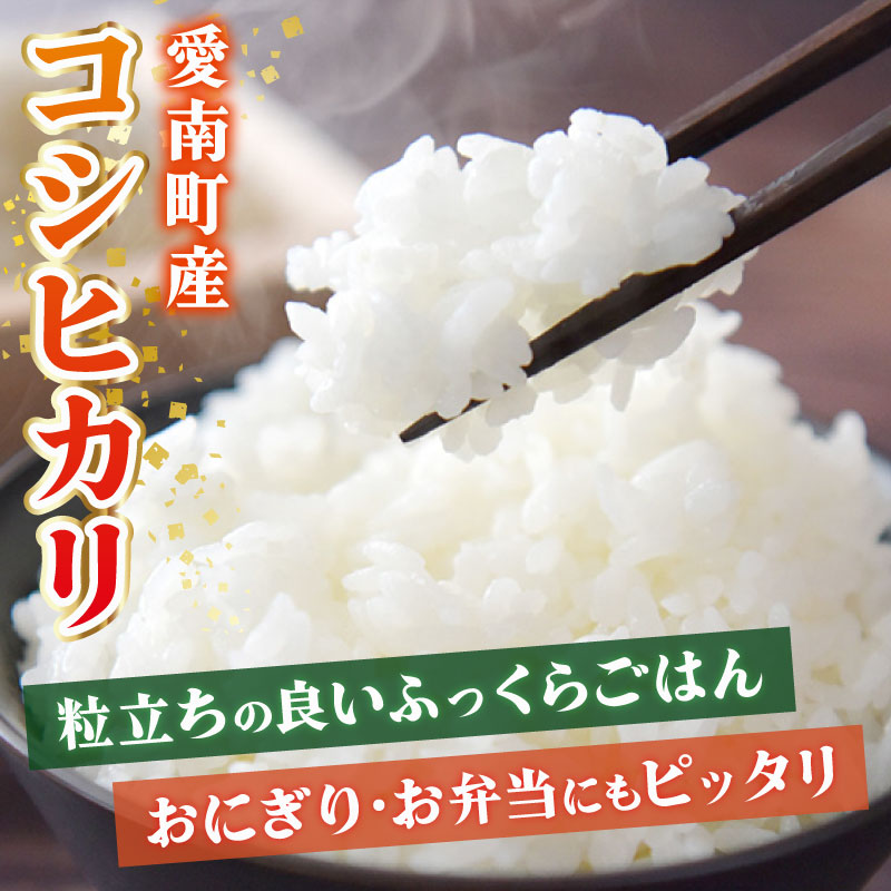 令和7年産 新米 コシヒカリ 5kg 米 お米 白米 精米 こしひかり 人気 産地直送 国産 農家直送 期間限定 数量限定 特産品 令和7年度産 2025年産 大粒 もっちり 粘り 甘み おいしい おにぎり 贈答品 プレゼント 和家農園 愛南町 愛媛県