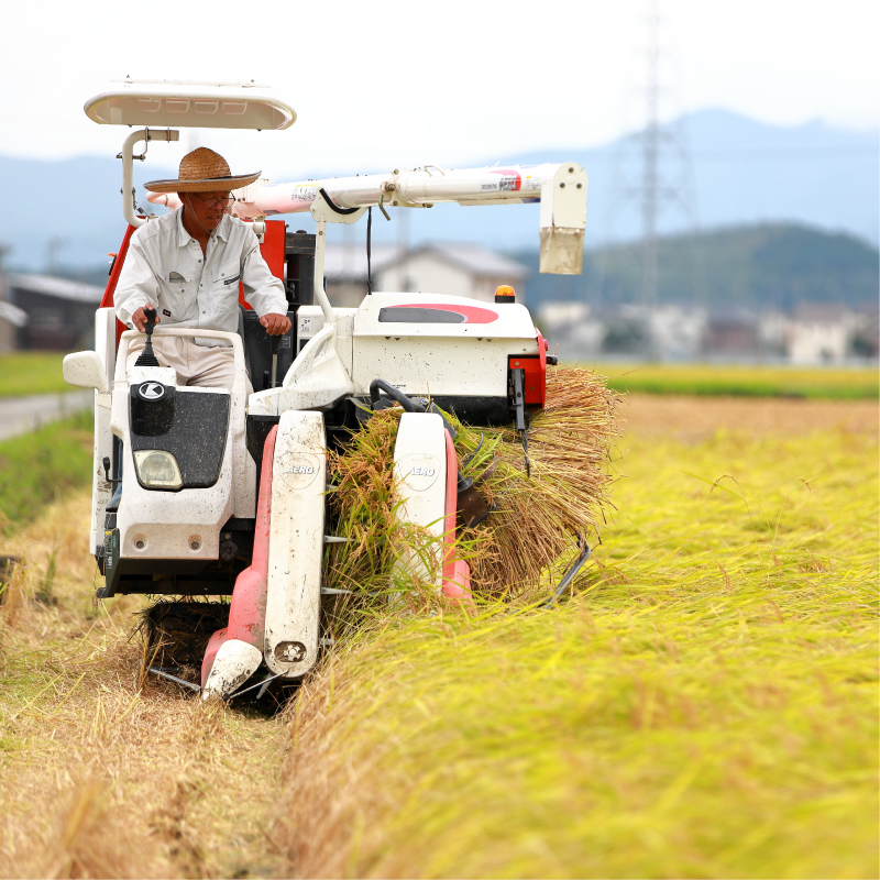 å
è¡äºçŽ æ°ç±³ 什å7å¹Žç£ ã³ã·ãã«ãª 10kg 25000å ãç±³ çœç±³ 粟米 ç±³ ãã ç£å°çŽé åœç£ 蟲家çŽé æééå® æ°ééå® ç¹ç£å å
è¡ äºå åä» ä»€å7å¹ŽåºŠç£ 2025å¹Žç£ ãã£ã¡ã ç²ã çã¿ ãããã ãã«ãã ããã²ãã å
ç¥ã ãç¥ã èŽçå ãè¿ã ãã¬ãŒã³ã ã®ãã åç£ åŸ¡ç€Œ ã瀌 ãåãå¯ã ãã²ãå蟲æ¥ååçµå æåçº æåªç