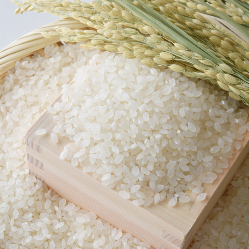 å
è¡äºçŽ æ°ç±³ 什å7å¹Žç£ ã³ã·ãã«ãª 10kg 25000å ãç±³ çœç±³ 粟米 ç±³ ãã ç£å°çŽé åœç£ 蟲家çŽé æééå® æ°ééå® ç¹ç£å å
è¡ äºå åä» ä»€å7å¹ŽåºŠç£ 2025å¹Žç£ ãã£ã¡ã ç²ã çã¿ ãããã ãã«ãã ããã²ãã å
ç¥ã ãç¥ã èŽçå ãè¿ã ãã¬ãŒã³ã ã®ãã åç£ åŸ¡ç€Œ ã瀌 ãåãå¯ã ãã²ãå蟲æ¥ååçµå æåçº æåªç