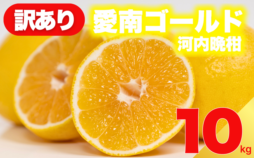 【 先行予約 】 訳あり 減農薬 愛南ゴールド 河内晩柑 10kg サイズ ミックス 家庭用 産直 農家直送 和製 グレープフルーツ 家庭用 甘い 爽やか 瑞々しい ジューシー 濃厚 旨味 酸味 旬 初夏 柑橘 みかん 蜜柑 不揃い サイズ混合 ジュース ゼリー ジャム マーマレード デザート 焼酎割り サワー 先行予約 予約受付 期間限定 数量限定 愛媛県 愛南町 愛南フルーツ