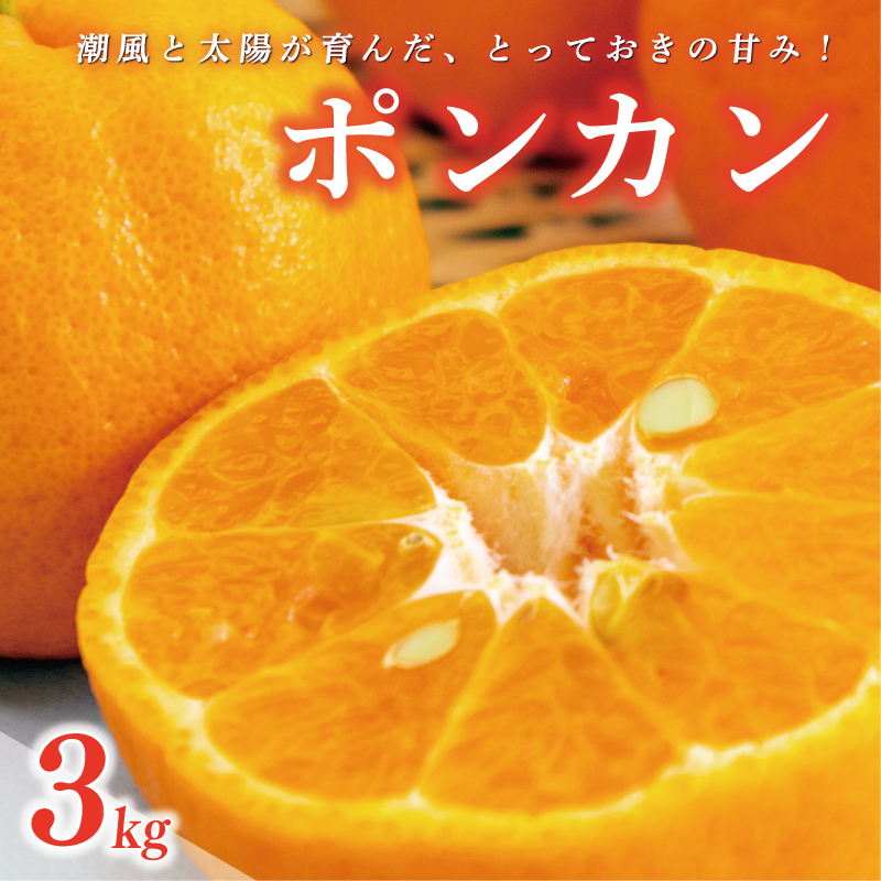 数量限定 先行受付 ポンカン 3kg 7000円 ぽんかん 国産 みかん mikan 蜜柑 ミカン 産地直送 農家直送 特産品 ギフト プレゼント ゼリー ジュース アイス 冷凍 みかん 等に 人気 限定 甘い フルーツ 果物 柑橘 美味しい おいしい 小玉 含む ジューシー サイズ ミックス 岡平農園 愛南町 愛媛県