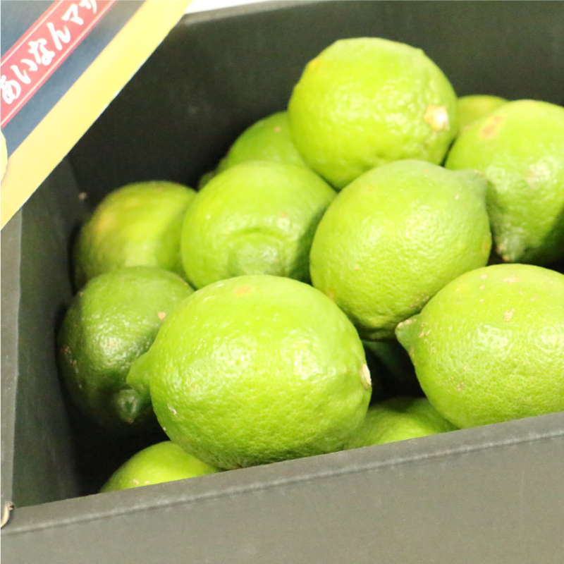 数量限定 先行予約 レモン 2.5kg 7000円 檸檬 国産 愛媛 れもん 期間限定 少量 お試し 特産品 フルーツ 果物 柑橘 人気 おいしい 産地直送 農家直送 ワックス 防腐剤 不使用 あいなんマザーズ 愛南町 愛媛県