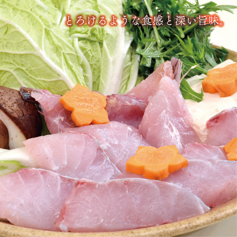 数量限定 豪華 海鮮福袋 伊勢海老 クエ セット 50000円 冷凍 人気 お楽しみ 海鮮セット 伊勢エビ 個包装 天然 いせえび 養殖 くえ ランキング 魚介 アラ 年末年始 お正月 おせち 贅沢 福袋 鍋 クエ鍋 しゃぶしゃぶ 味噌汁 ハマスイ 愛南町 愛媛県