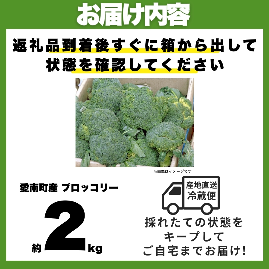 ブロッコリー 約2kg 朝採れ 当日 発送 新鮮 採れたて 産地直送 農家直送 国産 野菜 シャキシャキ 食感 茎 まで 甘い 栄養満点 ご家庭用 サラダ スープ お弁当 彩り野菜 旬 の 味覚 離乳食 食事管理中 に おすすめ 緑黄色野菜 冷凍 保存 可能 ストック 便利 人気 期間限定 旬 の 味覚 食卓 へ 愛媛県 愛南町 愛なんよ