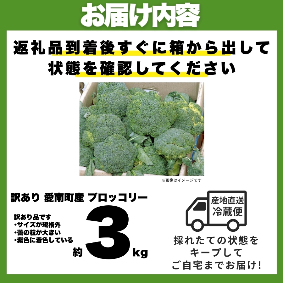 訳あり ブロッコリー 約3kg サイズミックス 朝採れ 当日 発送 新鮮 採れたて 産地直送 農家直送 国産 野菜 シャキシャキ 食感 茎 まで 甘い 栄養満点 ご家庭用 サラダ スープ お弁当 彩り野菜 旬 の 味覚 離乳食 食事管理中 に おすすめ 緑黄色野菜 冷凍 保存 可能 ストック 便利 人気 期間限定 旬 の 味覚 食卓 へ 愛媛県 愛南町 愛なんよ