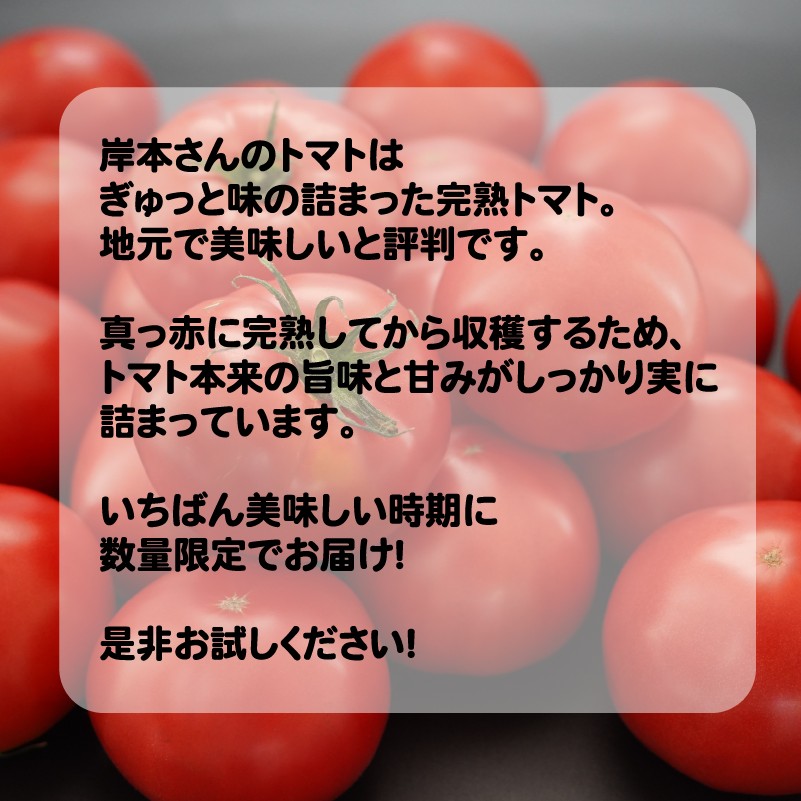 定期便 3回 岸本くんの 完熟 トマト 26000円 とまと ミニトマト 大玉 イエローアイコ パック トマトジュース トマトケチャップ トマトソース 4kg 野菜 国産 産地直送 農家直送 期間限定 数量限定 特産品 人気 ブランド アイコ 高糖度 ハウス栽培 お取り寄せ 料理 に 冷凍 保存 もおすすめ 岸本 真一 愛南町 愛媛県