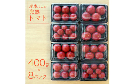 定期便 3回 岸本くんの 完熟 トマト 26000円 とまと ミニトマト 大玉 イエローアイコ パック トマトジュース トマトケチャップ トマトソース 4kg 野菜 国産 産地直送 農家直送 期間限定 数量限定 特産品 人気 ブランド アイコ 高糖度 ハウス栽培 お取り寄せ 料理 に 冷凍 保存 もおすすめ 岸本 真一 愛南町 愛媛県