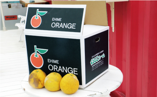 æ°ééå® å
è¡äºçŽ æ²³å
æ©æ 暹霢 20å¹Žä»¥äž 9kg ïŒ Lãµã€ãº ä»¥äž ïŒ 12000å ã¿ãã mikan èæ ãã«ã³ ããã¡ã°ããã æåãŽãŒã«ã ãããªã ãŽãŒã«ã ææŠ 掟ç å補 ã°ã¬ãŒããã«ãŒã å®¶åºçš ç£å°çŽé åœç£ 蟲家çŽé æééå® ç¹ç£å ãŒãªãŒ ãžã¥ãŒã¹ ã¢ã€ã¹ çã« äººæ° éå® çã ãããã ãã«ãŒã æç© ææ© èæ ããããšãã¡ãŒã æåçº æåªç