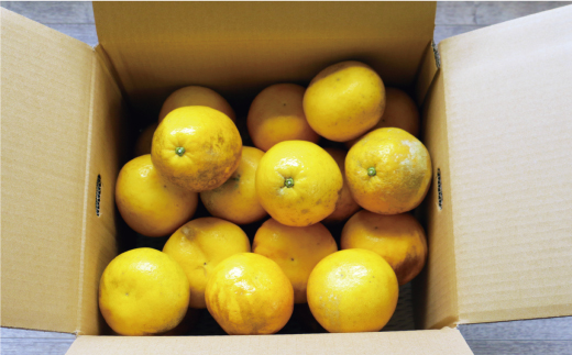 æ°ééå® å
è¡äºçŽ æ²³å
æ©æ 暹霢 20å¹Žä»¥äž 9kg ïŒ Lãµã€ãº ä»¥äž ïŒ 12000å ã¿ãã mikan èæ ãã«ã³ ããã¡ã°ããã æåãŽãŒã«ã ãããªã ãŽãŒã«ã ææŠ 掟ç å補 ã°ã¬ãŒããã«ãŒã å®¶åºçš ç£å°çŽé åœç£ 蟲家çŽé æééå® ç¹ç£å ãŒãªãŒ ãžã¥ãŒã¹ ã¢ã€ã¹ çã« äººæ° éå® çã ãããã ãã«ãŒã æç© ææ© èæ ããããšãã¡ãŒã æåçº æåªç