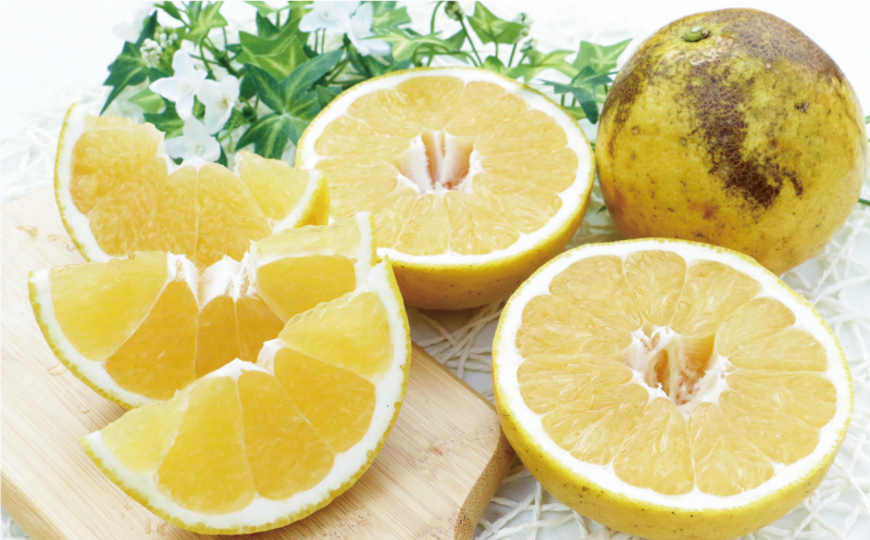 先行予約 家庭用 河内晩柑 樹齢 30年以上 7.5kg （ サイズ ミックス ） 10000円 みかん mikan 蜜柑 ミカン かわちばんかん 愛南ゴールド あいなん ゴールド 文旦 派生 グレープフルーツ 和製 産地直送 国産 農家直送 期間限定 数量限定 特産品 ゼリー ジュース アイス 等に 人気 さわやか 甘い フルーツ 果物 柑橘 規格外 小玉 含む 果樹園みどり 愛南町 愛媛県