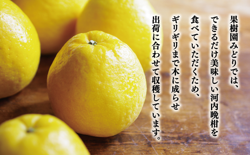 èŽççš æ²³å
æ©æ 暹霢 30å¹Žä»¥äž 7.5kg ïŒ ãµã€ãº ããã¯ã¹ ïŒ 13000å ã¿ãã mikan èæ ãã«ã³ ããã¡ã°ããã æåãŽãŒã«ã ãããªã ãŽãŒã«ã ææŠ 掟ç ã°ã¬ãŒããã«ãŒã å補 ç£å°çŽé åœç£ 蟲家çŽé æééå® æ°ééå® ç¹ç£å ãŒãªãŒ ãžã¥ãŒã¹ ã¢ã€ã¹ çã« äººæ° ãããã çã ãã«ãŒã æç© ææ© ã®ãã ãã¬ãŒã³ã å°ç å«ã ææš¹åã¿ã©ã æåçº æåªç