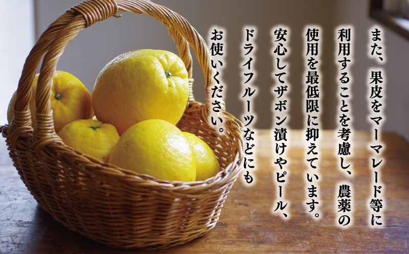 èŽççš æ²³å
æ©æ 暹霢 30å¹Žä»¥äž 7.5kg ïŒ ãµã€ãº ããã¯ã¹ ïŒ 13000å ã¿ãã mikan èæ ãã«ã³ ããã¡ã°ããã æåãŽãŒã«ã ãããªã ãŽãŒã«ã ææŠ 掟ç ã°ã¬ãŒããã«ãŒã å補 ç£å°çŽé åœç£ 蟲家çŽé æééå® æ°ééå® ç¹ç£å ãŒãªãŒ ãžã¥ãŒã¹ ã¢ã€ã¹ çã« äººæ° ãããã çã ãã«ãŒã æç© ææ© ã®ãã ãã¬ãŒã³ã å°ç å«ã ææš¹åã¿ã©ã æåçº æåªç