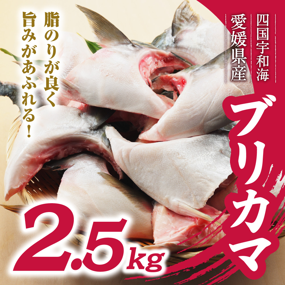 数量限定 ブリカマ 2.5kg 10000円 冷凍 サイズ 不揃い ぶりかま ぶりカマ 鰤かま 食べ物 旬 お手軽 魚海鮮 魚介 父の日 小分け 真空 パック 新鮮 鮮魚 養殖 国産 鰤 ぶり ブリ お取り寄せ ギフト プレゼント おつまみ アテ おかず カマ 塩焼き 煮物 あらだき あら煮 肉 厚 規格外 人気 ハマスイ 愛南町 愛媛県