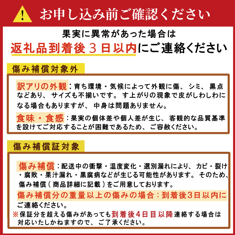 数量限定 先行予約 訳あり はるか 1.5kg 5000円 お試し 少量 みかん mikan 蜜柑 ミカン 国産 産地直送 農家直送 期間限定 特産品 ゼリー ジュース アイス 等に わけあり 人気 限定 フルーツ 果物 柑橘 甘い おいしい ジューシー お取り寄せ ギフト プレゼント サイズ ミックス あいなんマザーズ 愛南町 愛媛県