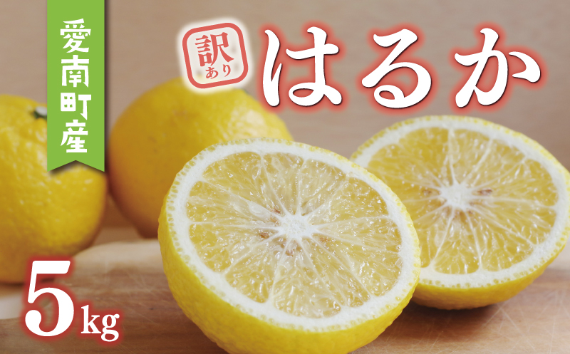 数量限定 先行予約 訳あり はるか 5kg 9000円 みかん mikan 蜜柑 ミカン 国産 産地直送 農家直送 期間限定 特産品 ゼリー ジュース アイス 等に わけあり 人気 限定 フルーツ 果物 柑橘 甘い おいしい ジューシー お取り寄せ ギフト プレゼント サイズ ミックス あいなんマザーズ 愛南町 愛媛県