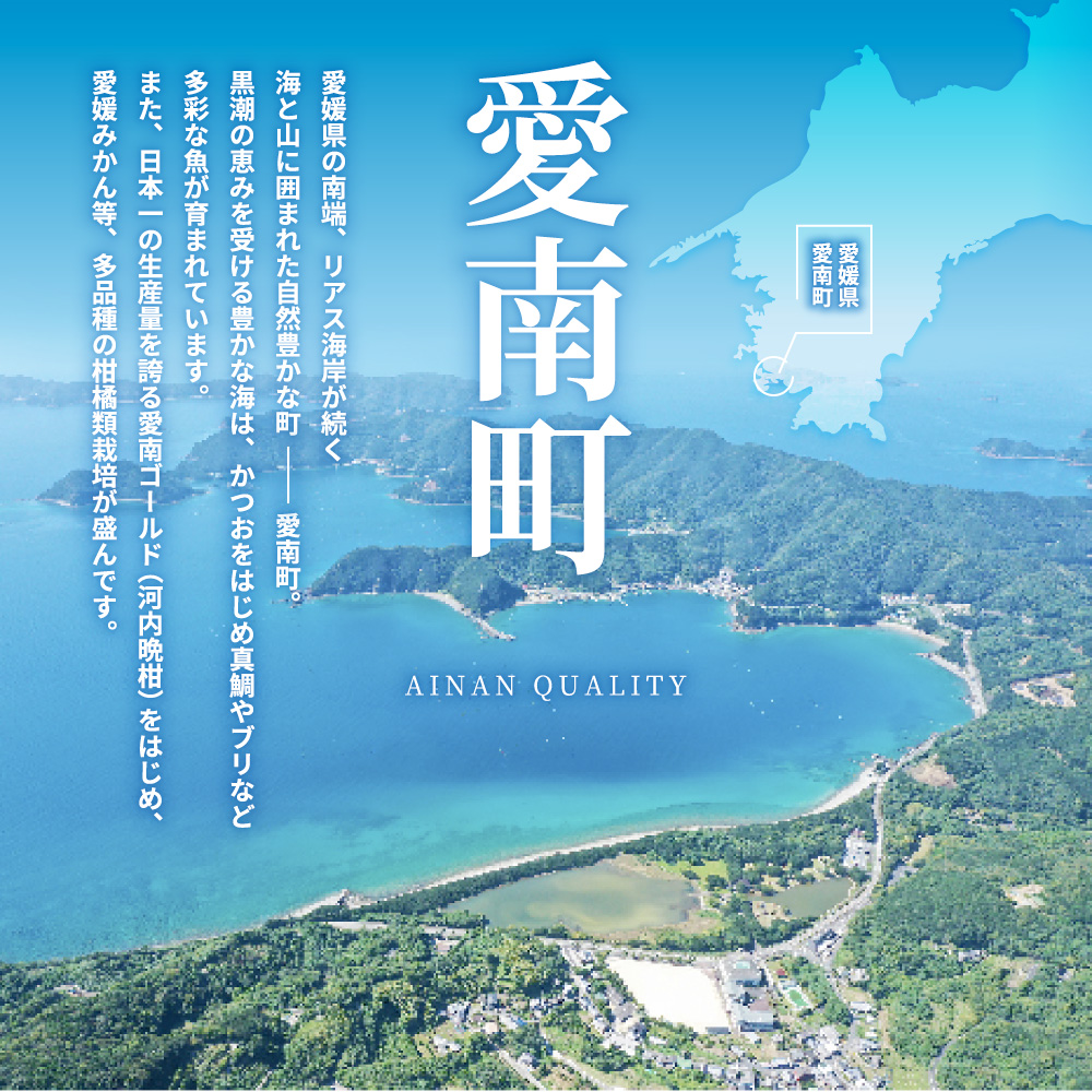 数量限定 先行予約 河内晩柑 樹齢 25年以上 中玉 10kg （ L ・ 2Lサイズ ） 12000円 みかん mikan 蜜柑 ミカン かわちばんかん 愛南ゴールド あいなん ゴールド 文旦 派生 和製 グレープフルーツ 産地直送 国産 農家直送 期間限定 特産品 ゼリー ジュース アイス 等に 人気 限定 甘い さわやか フルーツ 果物 柑橘 蜜柑 みかんの山祥 愛南町 愛媛県