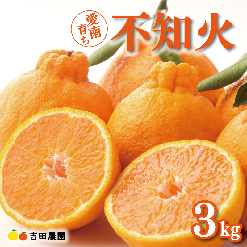 数量限定 先行予約 不知火 3kg 9000円 みかん しらぬい デコポン と 同品種 mikan 蜜柑 ミカン 産地直送 国産 農家直送 期間限定 特産品 ゼリー ジュース アイス 等に 人気 限定 甘い 果実 果肉 フルーツ 果物 柑橘 美味しい おいしい ジューシー 吉田農園 愛南町 愛媛県