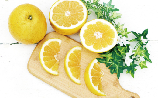 å
è¡äºçŽ èš³ãã æ²³å
æ©æ 2kg 5000å ã¿ãã ããã¡ã°ããã ãããã ãã«ã³ mikan æåãŽãŒã«ã ãããªã ãŽãŒã«ã å®¶åºçš å°é ãè©Šã ææŠ ã°ã¬ãŒããã«ãŒã å補 å®¶åºçš ç£å°çŽé åœç£ 蟲家çŽé æééå® æ°ééå® å
è¡ åä» äºå äºçŽ ãã¿ãã³ ç¹ç£å ãŒãªãŒ ãžã¥ãŒã¹ äººæ° éå® ãããã çã ãã«ãŒã æç© ææ© èæ èŠæ Œå€ ãããªããã¶ãŒãº æåçº æåªç