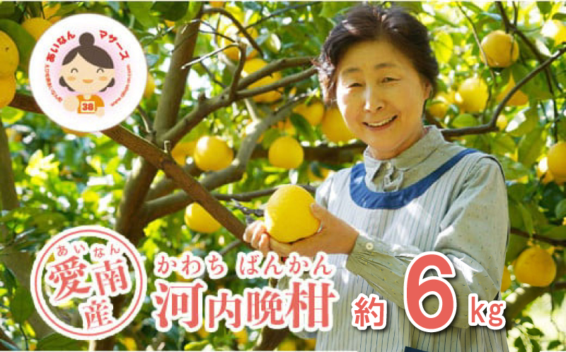 先行予約 河内晩柑 6kg 10000円 みかん かわちばんかん ミカン mikan 愛南ゴールド あいなん ゴールド 家庭用 少量 お試し 文旦 グレープフルーツ 和製 家庭用 産地直送 国産 農家直送 期間限定 数量限定 ビタミン 特産品 ゼリー ジュース 人気 限定 さわやか 甘い フルーツ 果物 柑橘 蜜柑 あいなんマザーズ 愛南町 愛媛県
