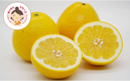 数量限定 先行予約 河内晩柑 6kg 10000円 みかん かわちばんかん mikan 蜜柑 ミカン 愛南ゴールド あいなん ゴールド 文旦 派生 和製 グレープフルーツ 産地直送 国産 農家直送 期間限定 特産品 ゼリー ジュース アイス 等に 人気 限定 甘い さわやか フルーツ 果物 柑橘 蜜柑 あいなんマザーズ 愛南町 愛媛県