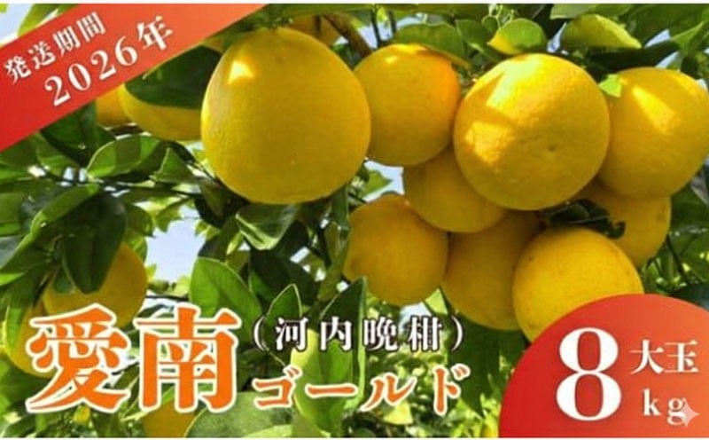 先行予約 2026年発送 愛南ゴールド（河内晩柑）大玉 約8kg みかん 蜜柑 河内晩柑 グレープフルーツ 柑橘 果物 フルーツ 前田ファーム 愛媛 愛南 【発送期間 3月下旬～5月上旬 】(なくなり次第終了)